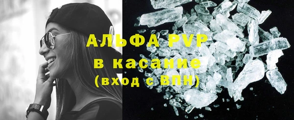 спиды Аркадак