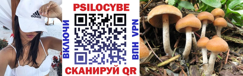 mega как зайти  Рузаевка  Псилоцибиновые грибы MAGIC MUSHROOMS 
